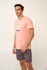 files/22660_3.jpg
