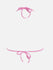 files/2394_2.jpg