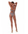 files/25058012-COL.18--BACK-600x720.jpg