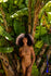 files/26066025COL.49-26065025COL.49.jpg