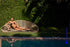 files/26066034COL.18-26065033COL.18.jpg