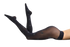 products/upl__Images__AI2022__1738SISI.jpg_W1000-removebg-preview.png